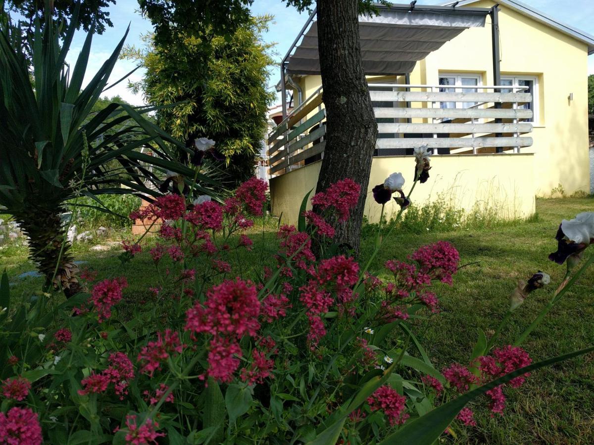 Apartment Helena Kanfanar Exterior foto